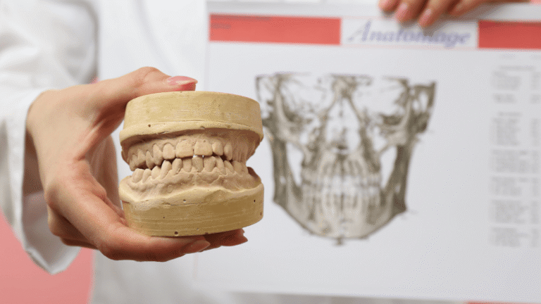 maxilofacial dentista