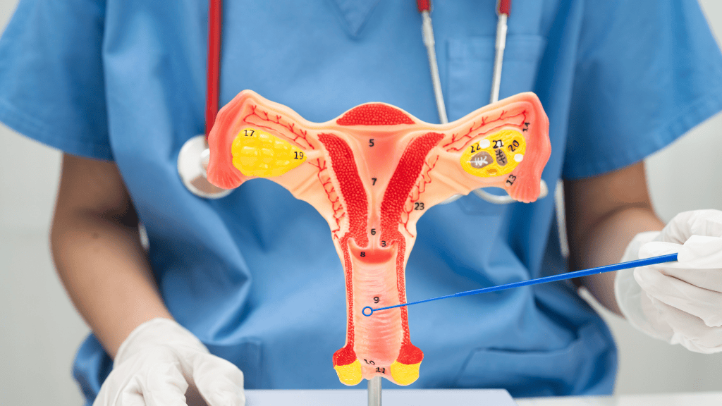 sequedad vaginal menopausia